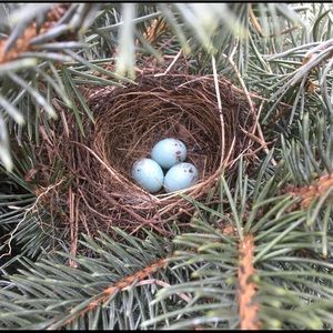 Meet your Posher, Jacki